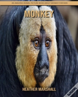 Capa do artigo Monkey