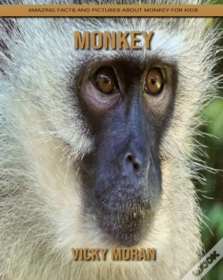 Capa do artigo Monkey