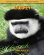 Monkey - Preview