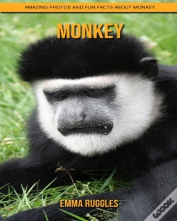 Capa do artigo Monkey