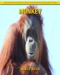 Monkey - Preview