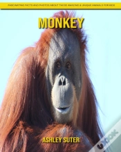 Capa do artigo Monkey