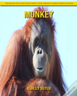 Capa do artigo Monkey