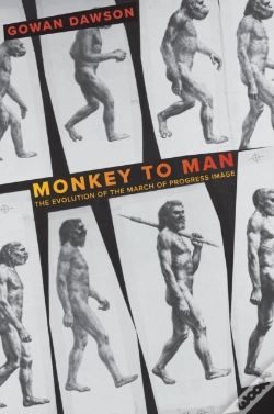 Capa do artigo Monkey To Man