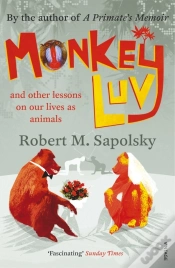 Capa do artigo Monkeyluv
