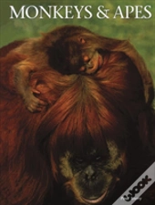 Monkeys Apes