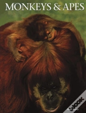 Capa do artigo Monkeys Apes