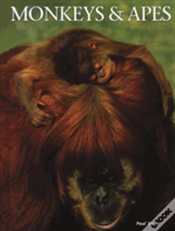 Capa do artigo Monkeys Apes