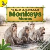 Capa do artigo Monkeys