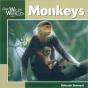 Monkeys - Preview