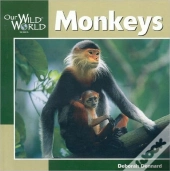 Monkeys
