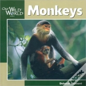 Capa do artigo Monkeys