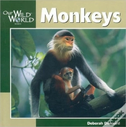 Capa do artigo Monkeys
