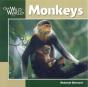 Monkeys - Preview