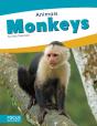 Monkeys - Preview