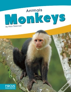 Capa do artigo Monkeys