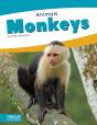 Monkeys - Preview
