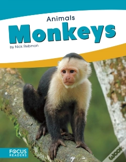 Capa do artigo Monkeys