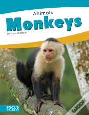 Capa do artigo Monkeys