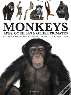Capa do artigo Monkeys