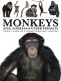 Monkeys - Preview