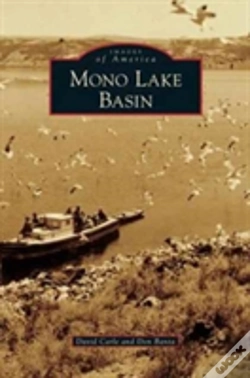 Capa do artigo Mono Lake Basin