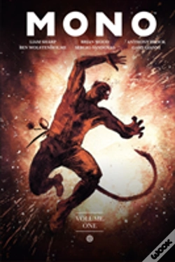 Capa do artigo Mono Volume 1