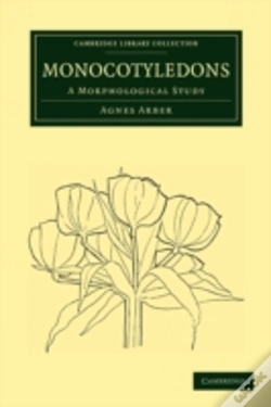 Capa do artigo Monocotyledons