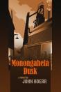 Monongahela Dusk - Preview