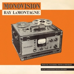 Capa do artigo MONOVISION - Vinil