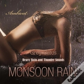 Capa do artigo Monsoon Rain