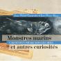 Monstres Marins Et Autres Curiosités - Preview