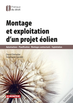 Capa do artigo Montage Et Exploitation D'Un Projet Éolien
