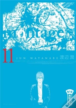 Capa do artigo Montage T11