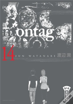 Capa do artigo Montage T14