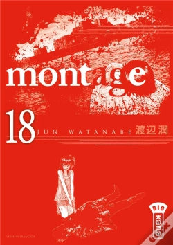 Capa do artigo Montage T18