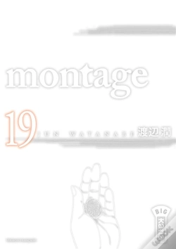 Capa do artigo Montage T19