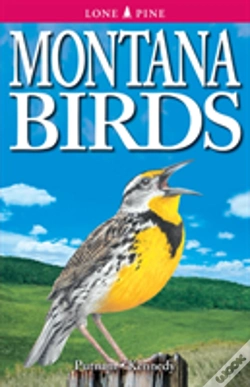 Capa do artigo Montana Birds