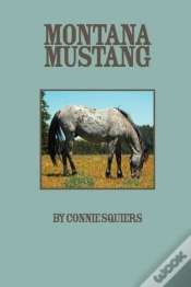 Capa do artigo Montana Mustang
