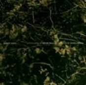 Capa do artigo Monte Siano