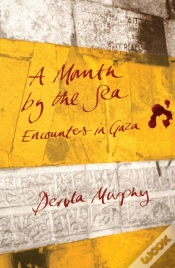 Capa do artigo Month By The Sea