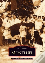 Capa do artigo Montluel