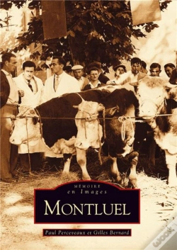 Capa do artigo Montluel