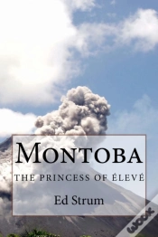 Capa do artigo Montoba