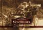 Montpellier - Preview