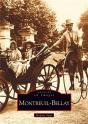Montreuil-Bellay - Preview