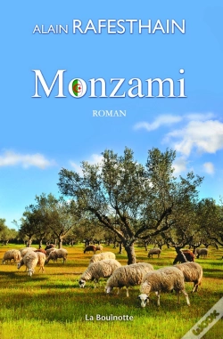 Capa do artigo Monzami