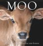 Moo - Preview