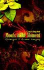 Moods In The Moment - Preview