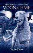 Moon Chase